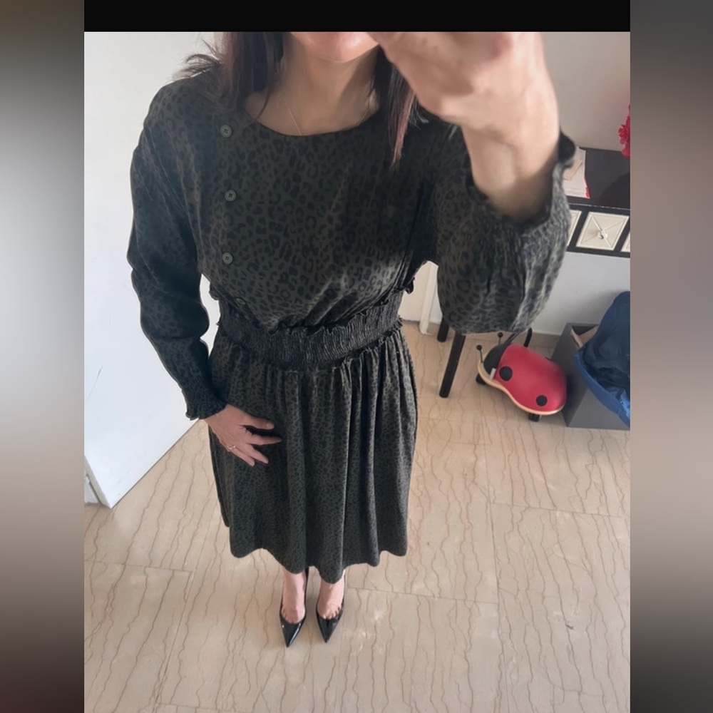 Zara Leopard Print Long Sleeve Dress